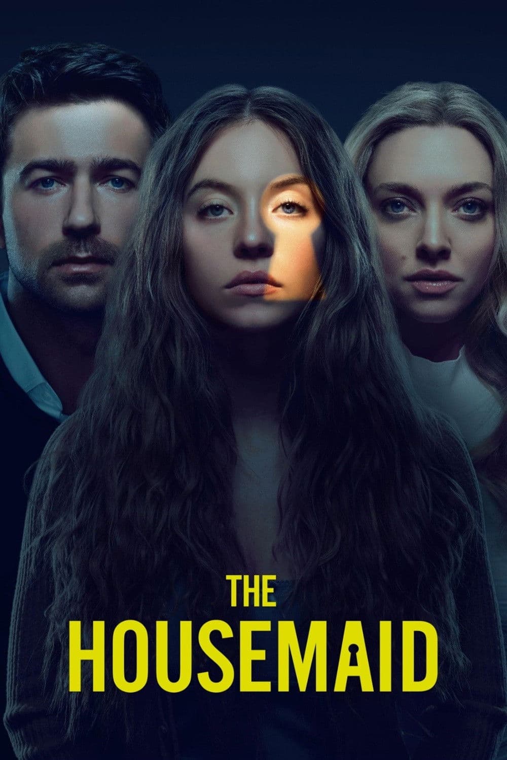 OTT Review: The Housemaid (2025) ; A Glossy, Twisted Domestic Thriller